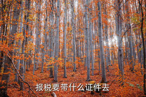 報稅需要帶什么，你好 到稅務局報稅需要帶什么東西怎么報