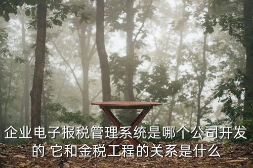 企業電子報稅管理系統是哪個公司開發的 它和金稅工程的關系是什么