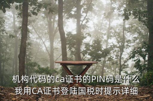 機構代碼的ca證書的PIN碼是什么我用CA證書登陸國稅時提示詳細