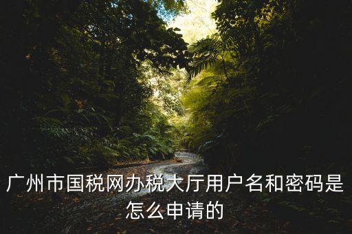 廣州國稅官網登錄密碼是什么原因，國稅第一次網上申報的登陸密碼是什么