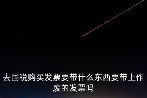 寧波國稅過發票要帶什么東西，去國稅局做稅票結報要帶哪些東西