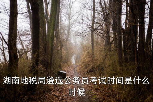 湖南地稅什么時候上班，湖南地稅系統分配到縣以下基層一線工作有前途嗎