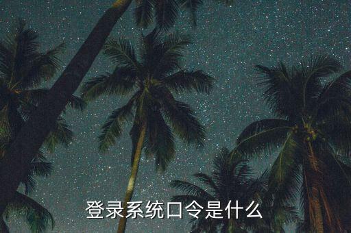 登錄系統口令是什么