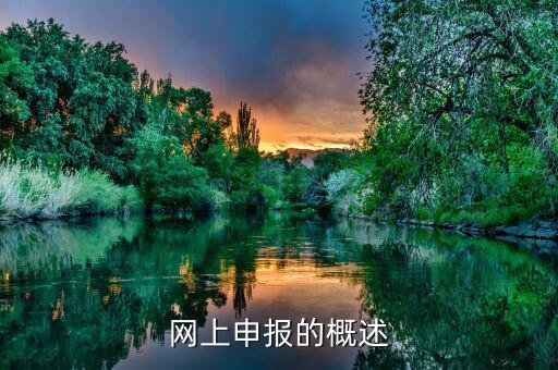 網上申報什么意思，網上申報是什么意思