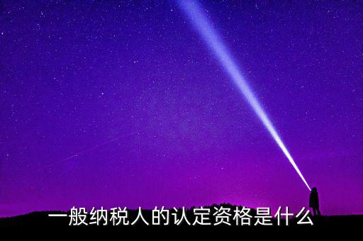 一般納稅人的認定資格是什么