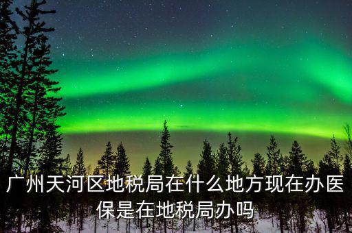 廣州天河區地稅局在什么地方現在辦醫保是在地稅局辦嗎