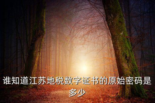 江蘇地稅登錄密碼是什么，江蘇地稅開票密碼是多少