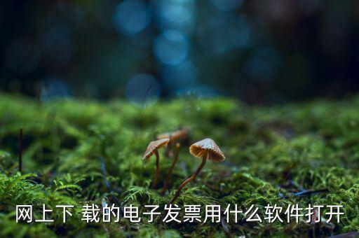 網上下 載的電子發票用什么軟件打開