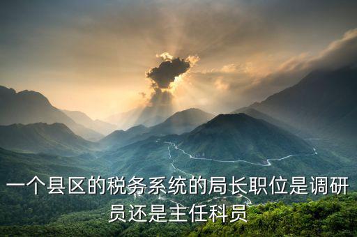 一個縣區的稅務系統的局長職位是調研員還是主任科員