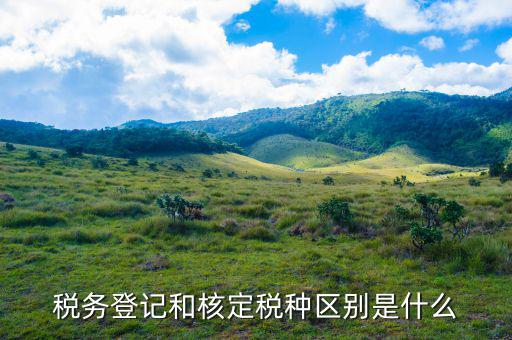 稅務登記和核定稅種區別是什么