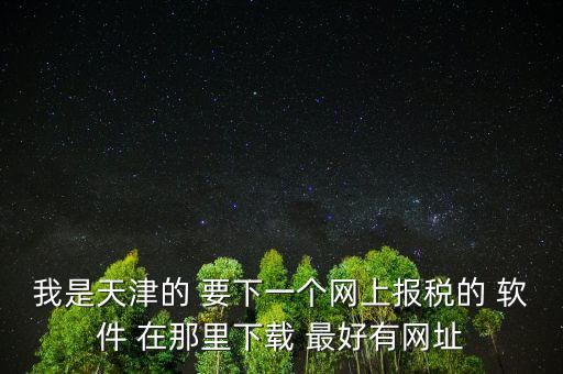 我是天津的 要下一個網上報稅的 軟件 在那里下載 最好有網址