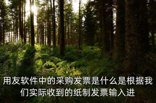 上下游采購發票是什么，用友軟件中的采購發票是什么是根據我們實際收到的紙制發票輸入進