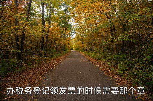 辦稅務登記領發票的時候需要那個章