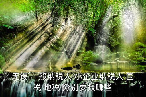 無錫 一般納稅人 小企業納稅人 國稅 地稅 分別要報哪些