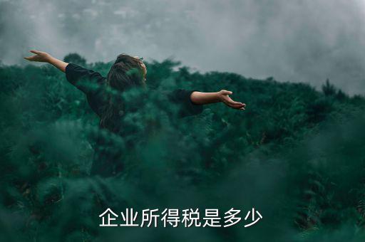 生產企業稅收標準是什么，企業所得稅是多少