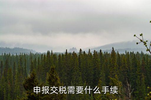 申報交稅需要什么手續
