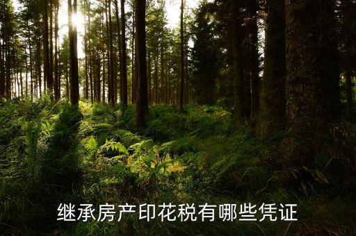 印花稅應納稅憑證是什么，什么是憑證印花稅