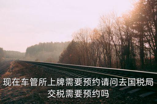 現在車管所上牌需要預約請問去國稅局交稅需要預約嗎