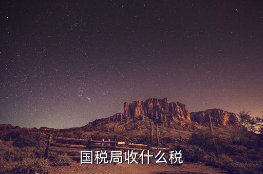 南寧國稅局收什么的稅，請教南寧國稅納稅具體多少以1000元收入為例