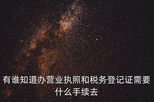 有誰知道辦營業執照和稅務登記證需要什么手續去
