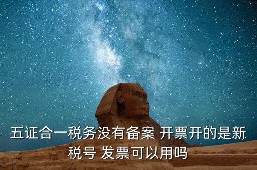 新稅號用到什么，新稅號開的發票與老稅號開具的發票有什么不同