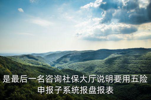 是最后一名咨詢社保大廳說明要用五險申報子系統報盤報表