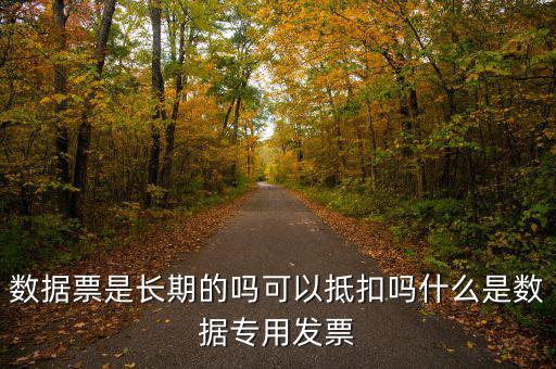 數據票是長期的嗎可以抵扣嗎什么是數據專用發票