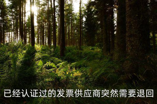 已經認證過的發票供應商突然需要退回
