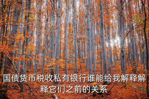 國債貨幣稅收私有銀行誰能給我解釋解釋它們之前的關系