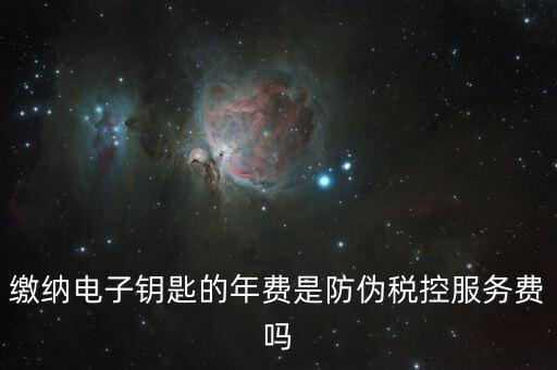 防偽稅控服務費是什么，關于防偽稅控服務費