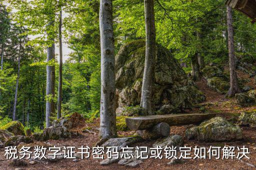 稅務數字證書密碼忘記或鎖定如何解決