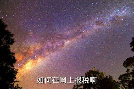 網上用什么申報稅務局，如何網上稅務申報