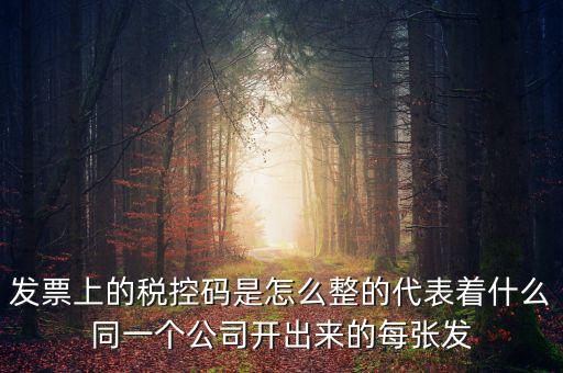 發票上的稅控碼是怎么整的代表著什么同一個公司開出來的每張發