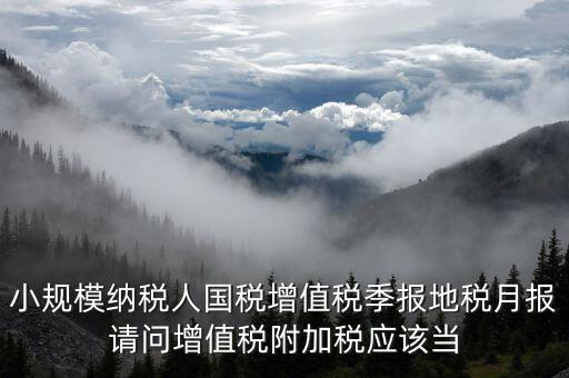 小規模納稅人國稅增值稅季報地稅月報請問增值稅附加稅應該當