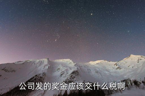 公司發的獎金應該交什么稅啊