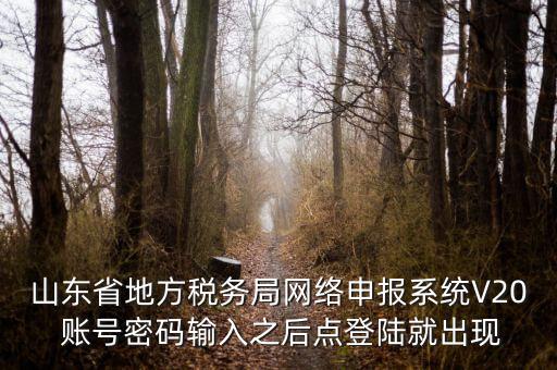 山東省地方稅務局網絡申報系統V20 賬號密碼輸入之后點登陸就出現