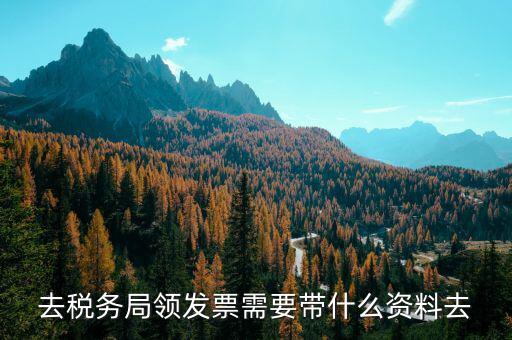 領定額發票帶什么，去稅務局領發票需要帶什么資料去
