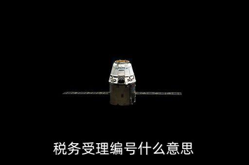 稅務受理編號什么意思