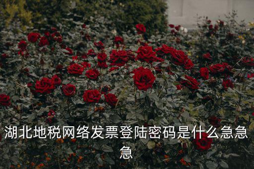 湖北地稅網絡發票登陸密碼是什么急急急