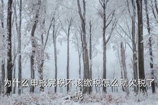 為什么國稅欠稅不催繳，因稅務機關原因未能及時繳納稅款是否屬于欠稅