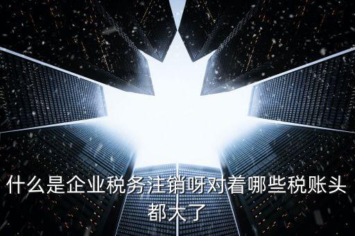 什么是錯峰預約辦稅，網上辦稅系統納稅人未開通使用此介入軟件是什么意思