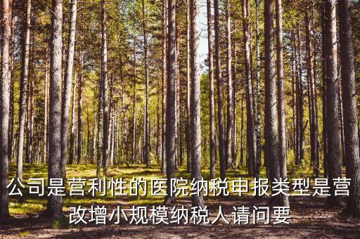 公司是營利性的醫院納稅申報類型是營改增小規模納稅人請問要
