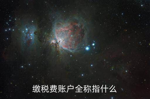 納稅賬戶是什么，我們公司申請(qǐng)的一個(gè)專門用來繳納稅款的賬戶是什么賬戶