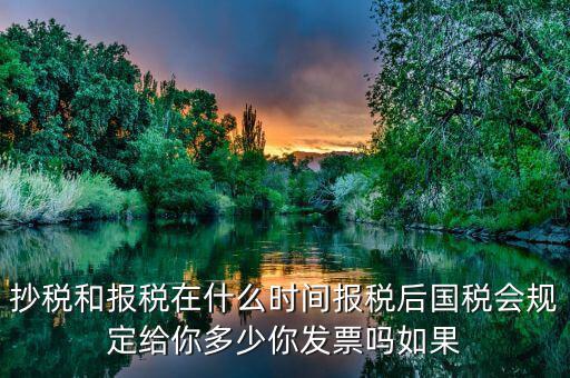 抄稅和報稅在什么時間報稅后國稅會規定給你多少你發票嗎如果