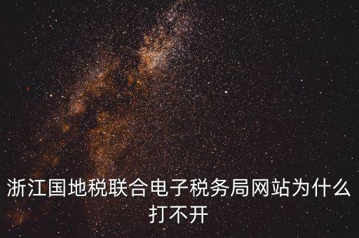 浙江國地稅聯合電子稅務局網站為什么打不開