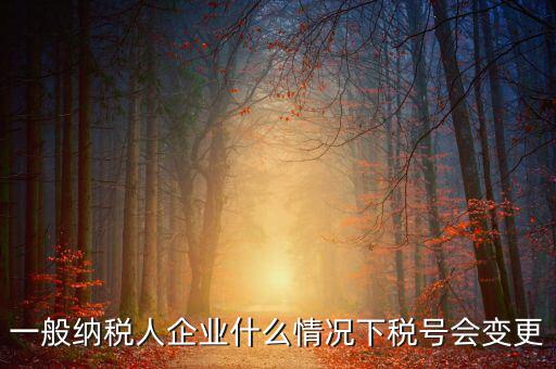 一般納稅人企業什么情況下稅號會變更