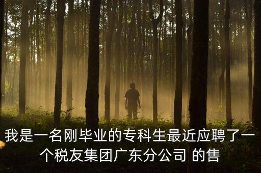 我是一名剛畢業的專科生最近應聘了一個稅友集團廣東分公司 的售