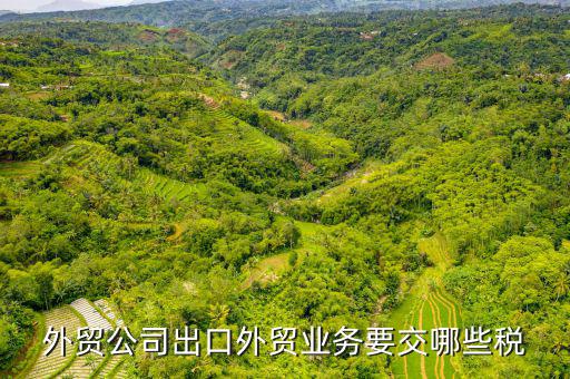 外貿公司出口外貿業務要交哪些稅