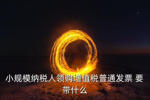 申領普通發票需要什么，小規模納稅人領購增值稅普通發票 要帶什么