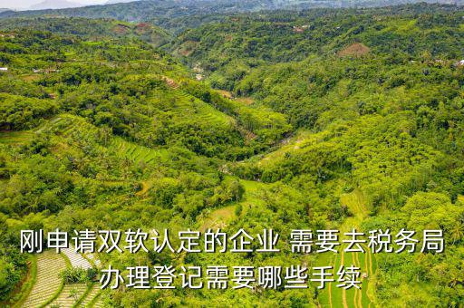 剛申請雙軟認定的企業 需要去稅務局辦理登記需要哪些手續